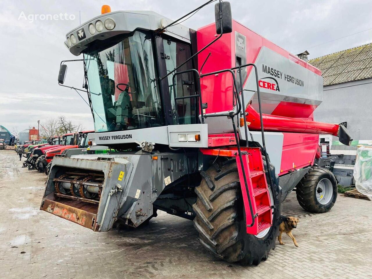 곡물 수확기 Massey Ferguson  7274